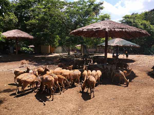 A’Famosa Safari Wonder Land