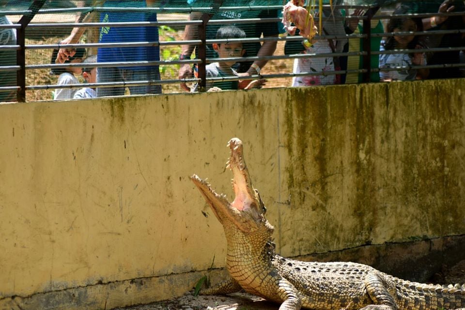 Taman Buaya & Rekreasi Melaka / Melaka Crocodile & ​​Recreational Park