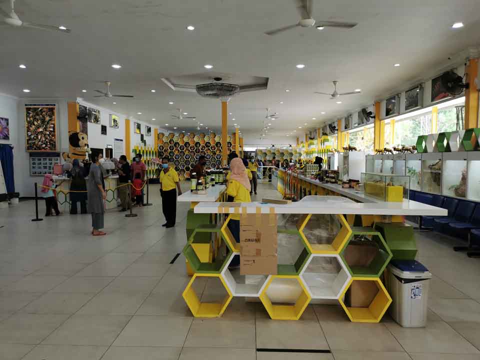 Malacca Bee Gallery / Galeri Lebah Melaka - Interview